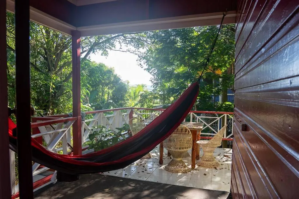 Relax In Paradise, Indikanegril contacts